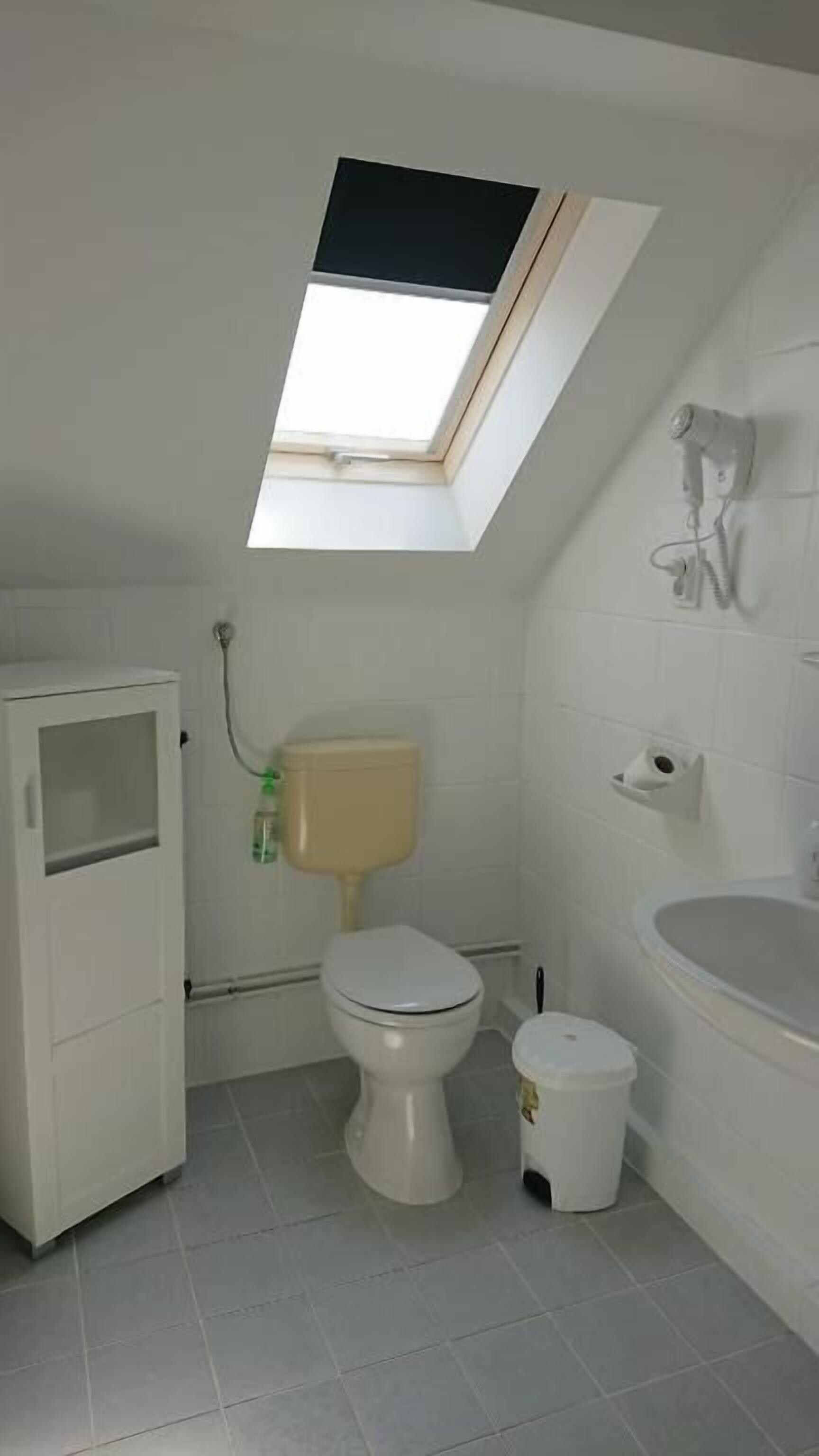 A small bathroom with a skylight, toilet, bidet, and a sink.