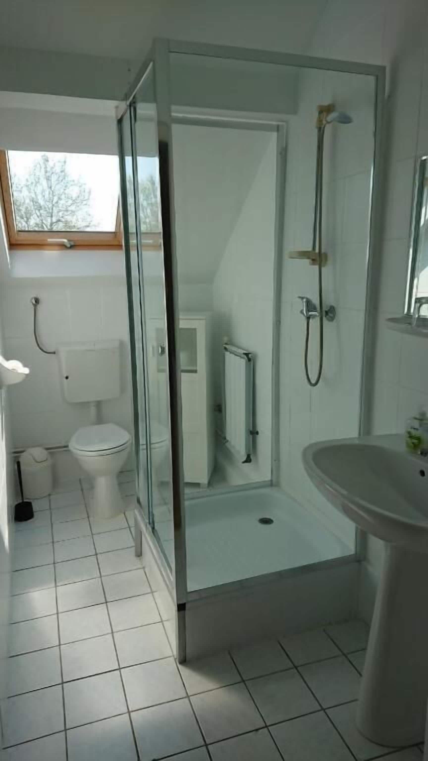 Un baño moderno con ducha envuelta en vidrio, un lavamanos blanco y un inodoro.