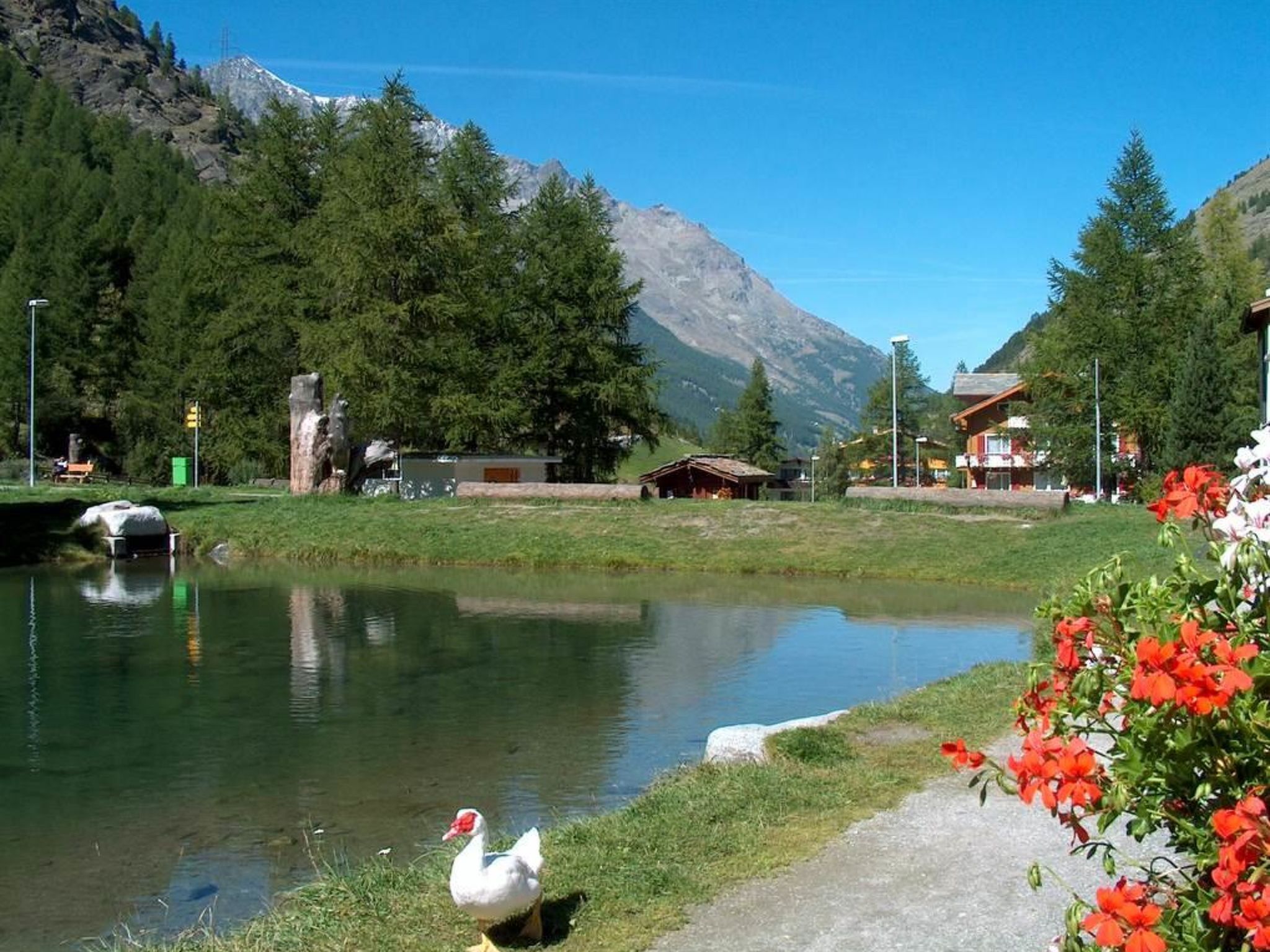 A serene lakeside setting with a swan, a mountain backdrop, and a small building.