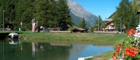 Un entorno tranquilo junto al lago, con un cisne, montañas al fondo y un pequeño edificio.
