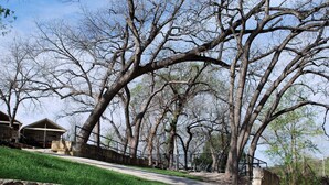 A pathway leading through a park with large trees and a building with a balcony. - NEW Stunning River Access, Retreat on Guadalupe River, Tubing, Family Fun Amenities, Tubing Fun (New Braunfels)