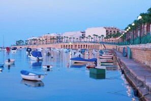 Una marina amb embarcacions amarrades al llarg d'una passeig marítim.