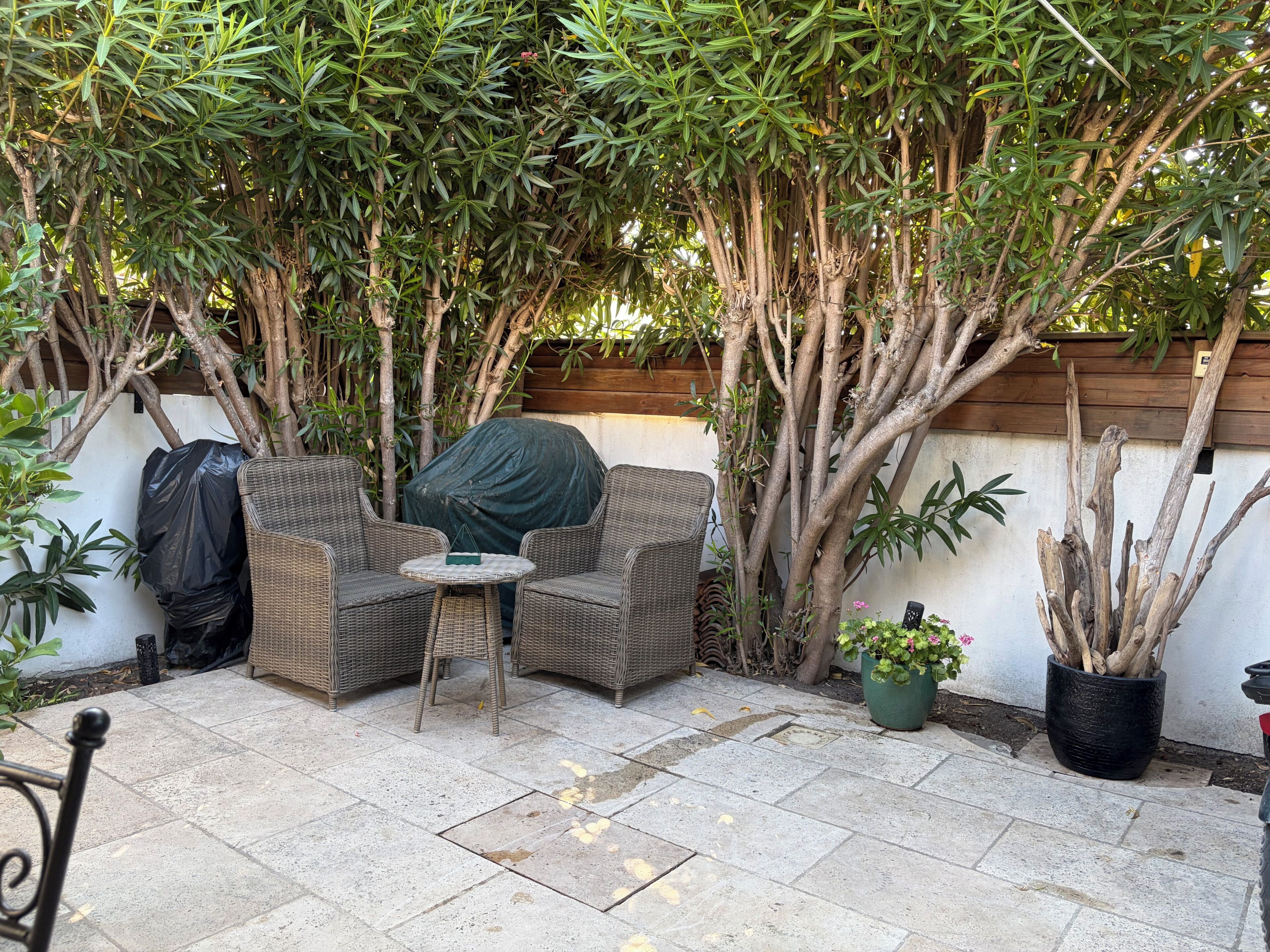 An outdoor seating area with wicker furniture, a covered table, and a potted plant.