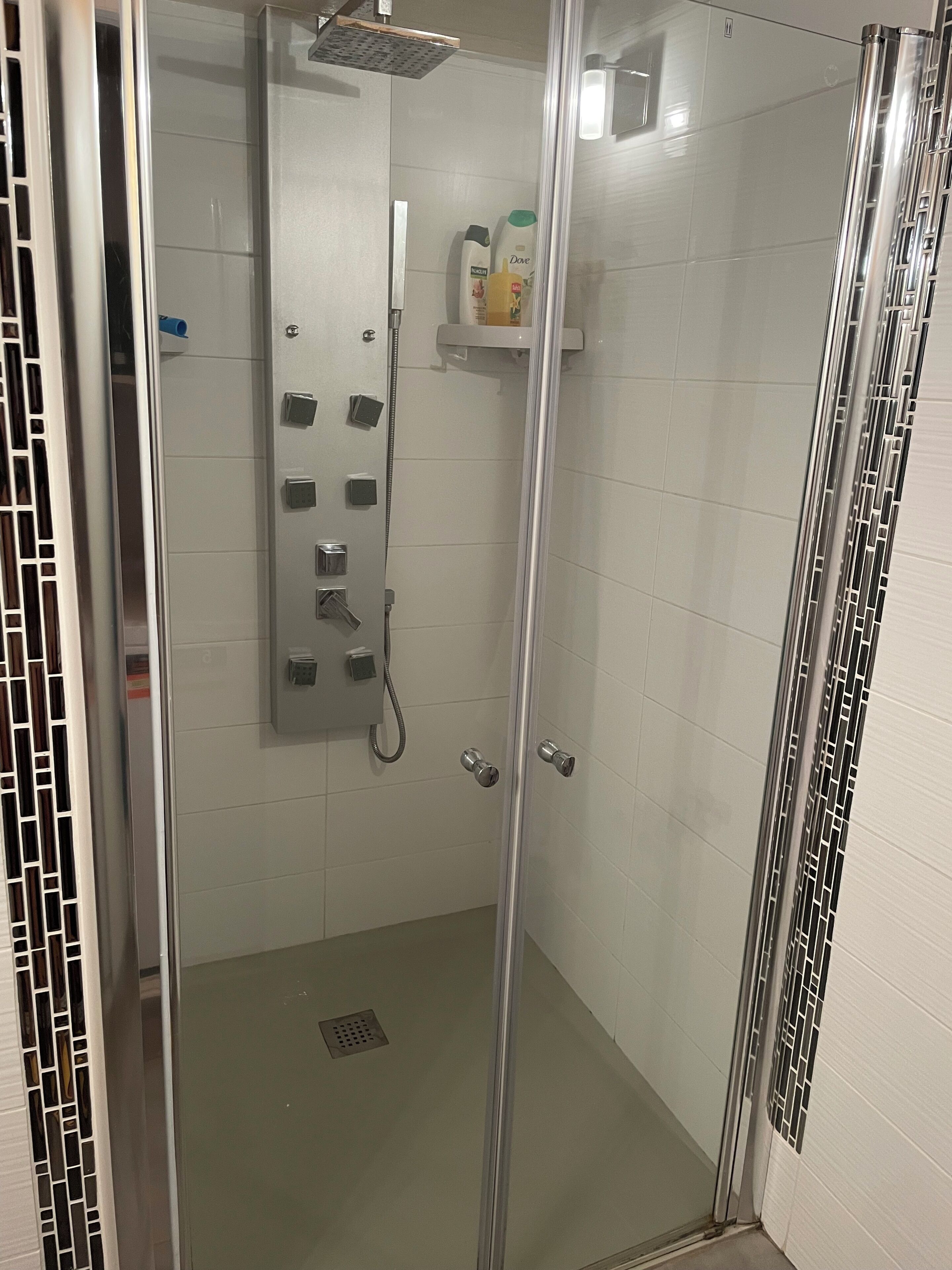 Eine gläserne Duschkabine mit Handbrause, Bedienfeld und Ablage für Toilettenartikel.