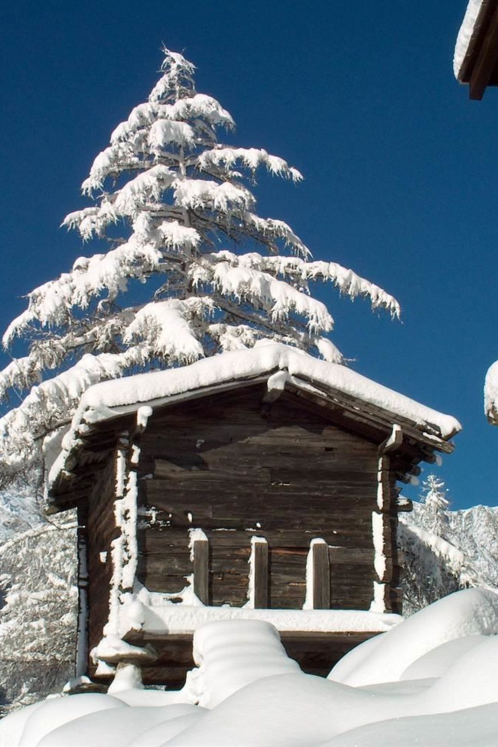 Une cabane en bois, dont le toit est recouvert de neige, avec un arbre chargé de neige en arrière-plan.