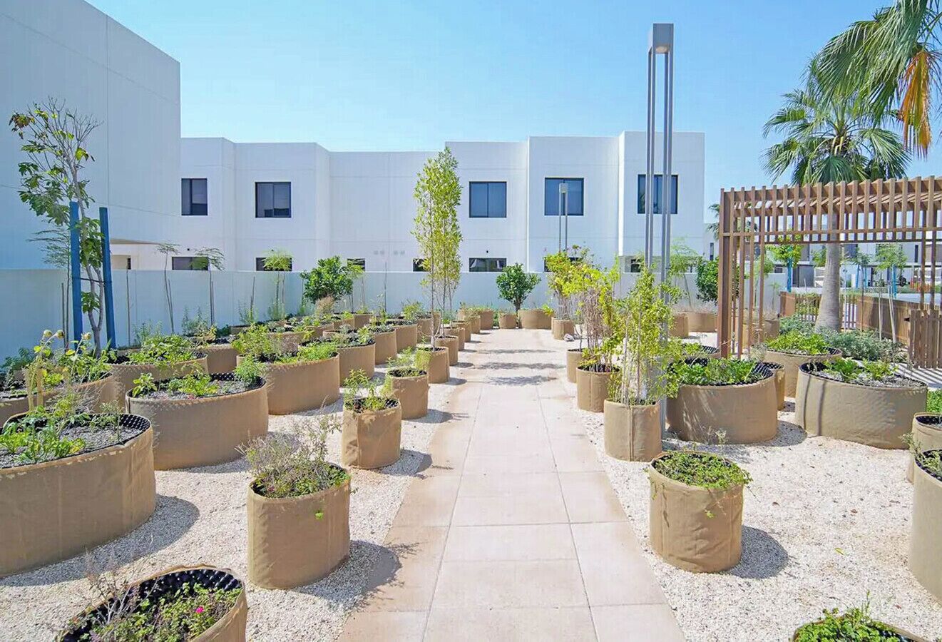 A rooftop garden with potted plants arranged in rows, a pathway, and modern buildings in the background.