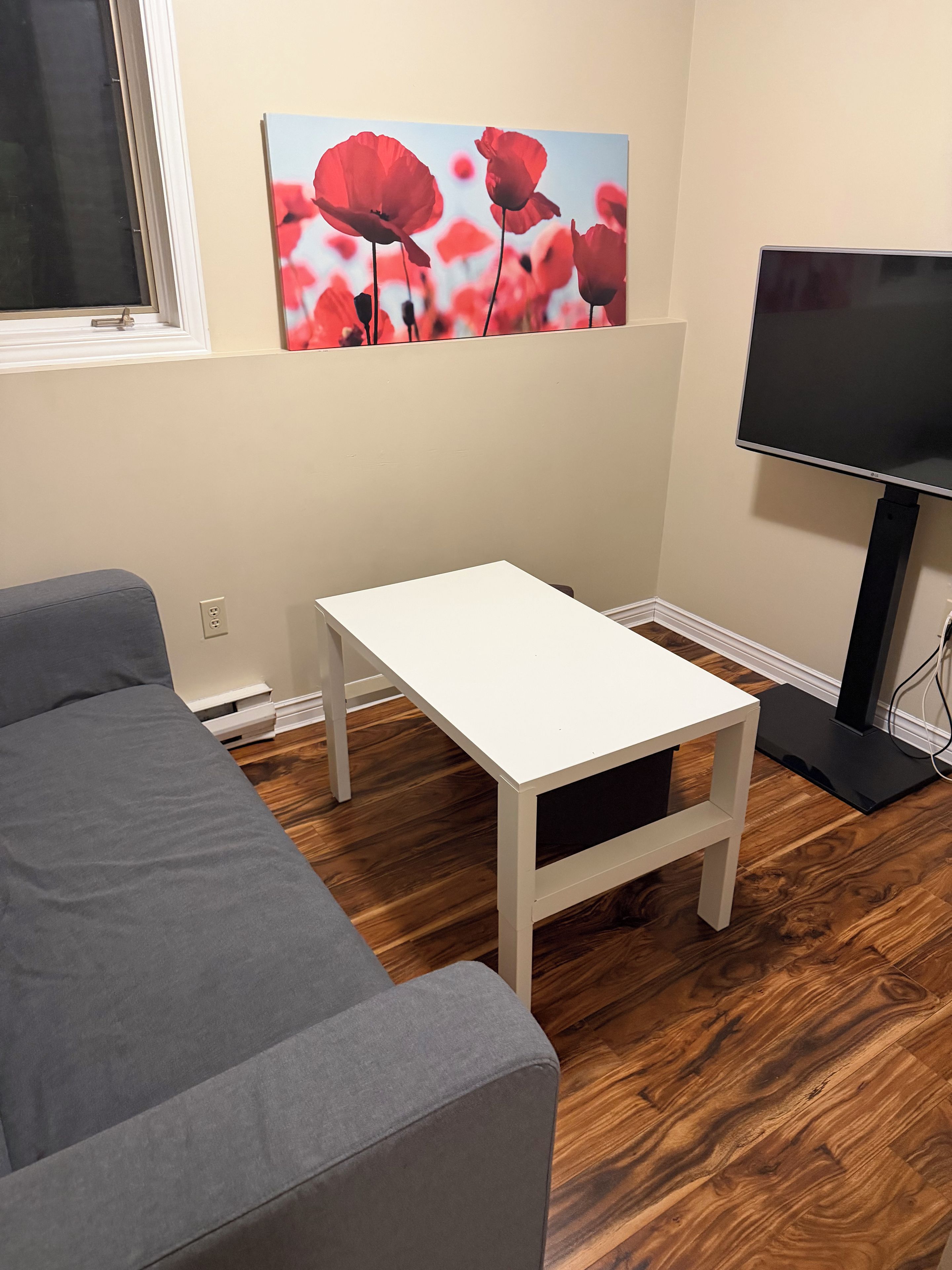 A room with a grey sofa, a white table, a TV on a stand, and a painting of red flowers on the wall.