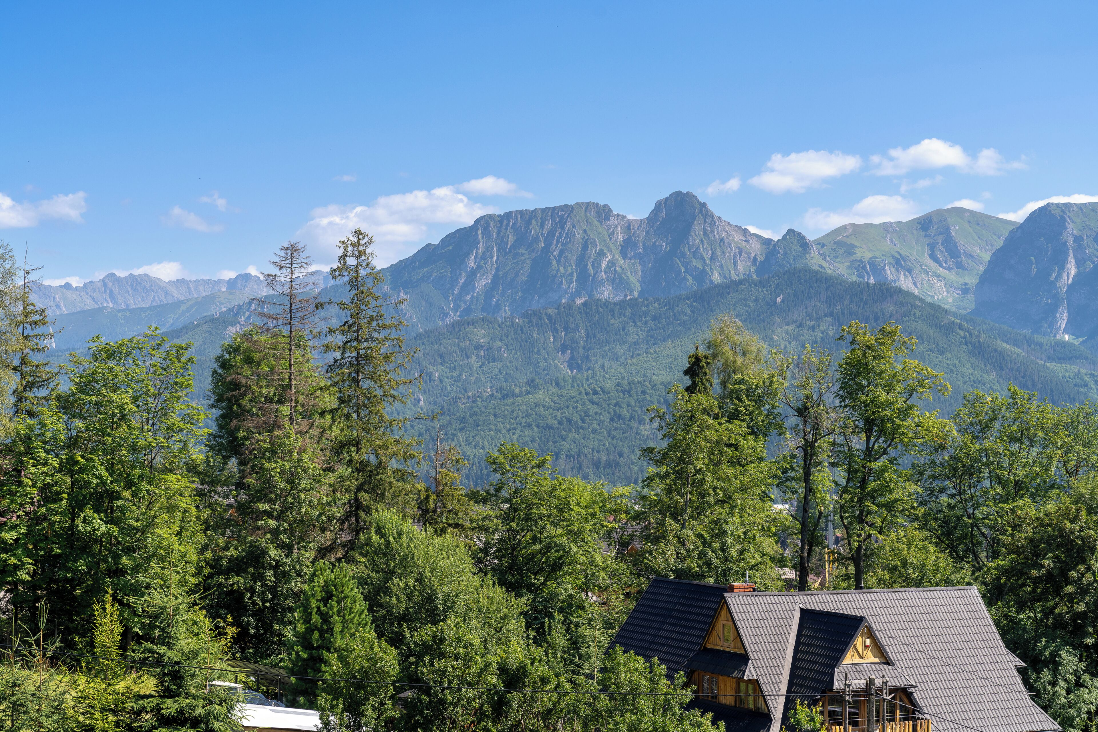 Eine Bergingerhütte mit geneigtem Dach, umgeben von dichtem Wald und einer Kulisse aus zerklüfteten Bergen.