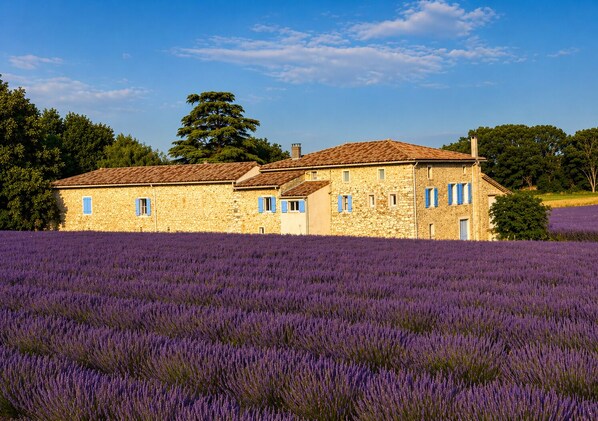 Exterior - Vrbo Property (Puygiron)