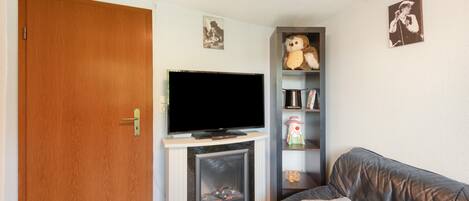 TV, fireplace