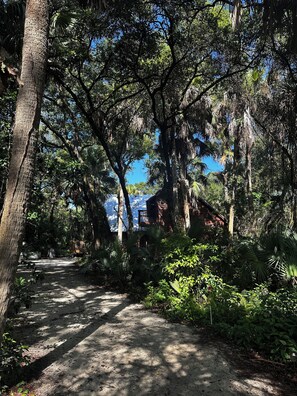A forested area with a dirt path leading to a building with a red roof.