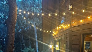 A wooden deck with a table and chairs, surrounded by trees and string lights. - Beautiful, private Florida home surrounded with tropical forest in Jupiter farms (Jupiter)