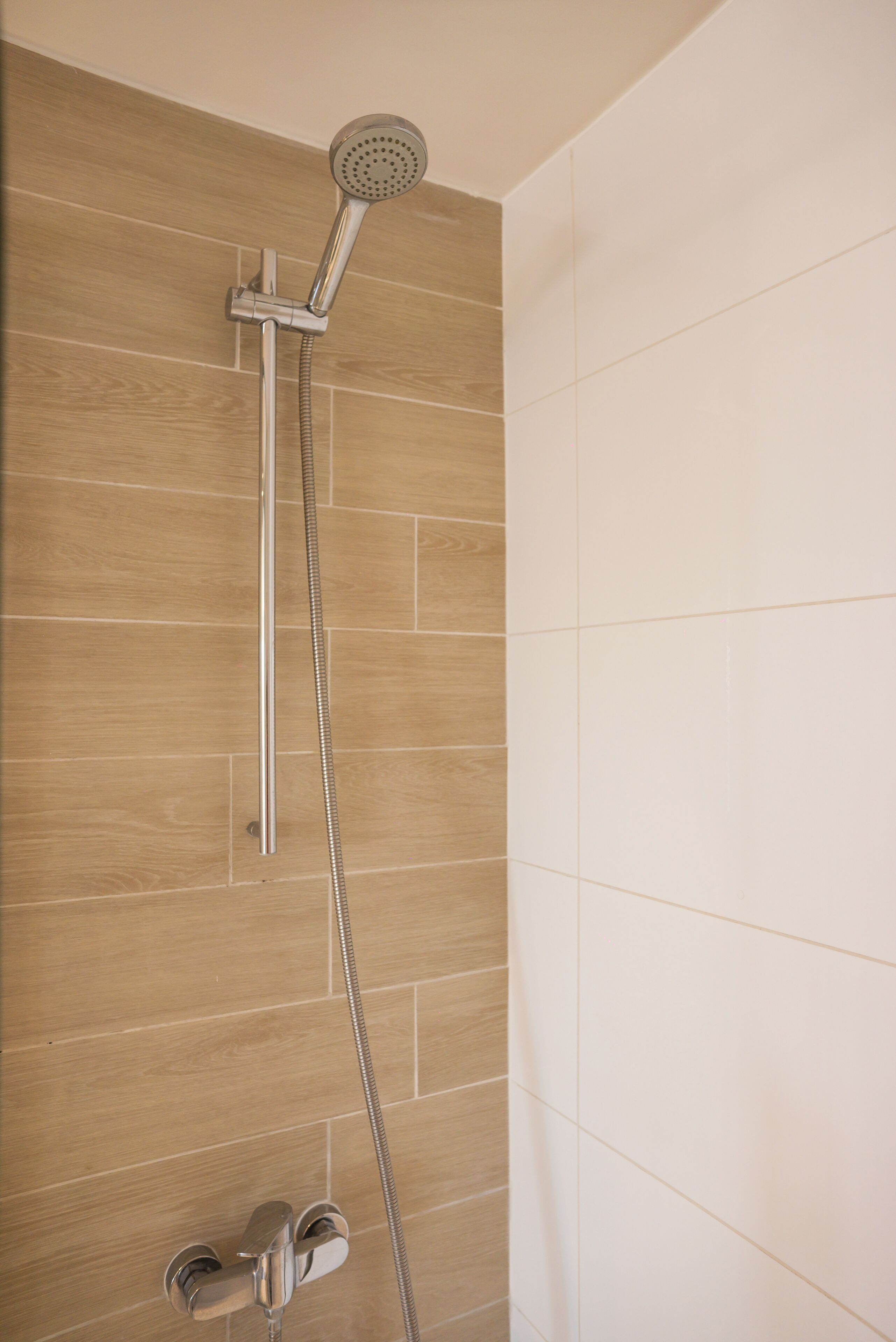 Une douche équipée d’un pommeau de douche à main et d’un flexible.