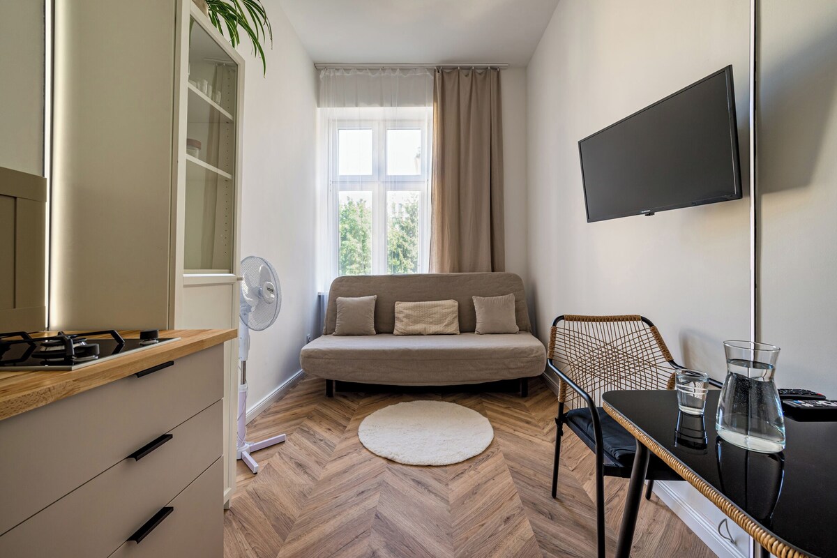 Studio Suite | Iron/ironing board, free WiFi, bed sheets