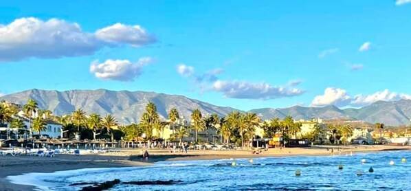 Ein Strand mit Palmen, einer Bergkette und wolkenlosem Himmel.