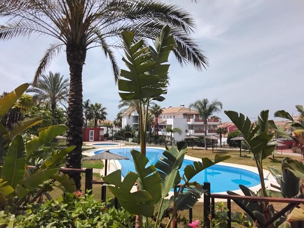 Una piscina rodeada de plantas tropicales y palmeras, con edificios al fondo.