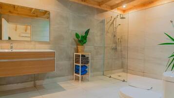 Shower, hair dryer, towels, soap