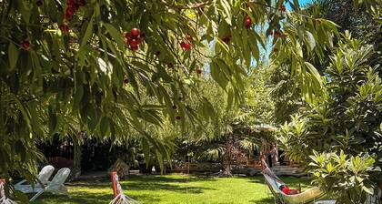Barros Wellness & Spa Resort
