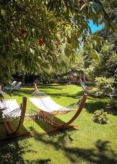 Barros Wellness & Spa Resort