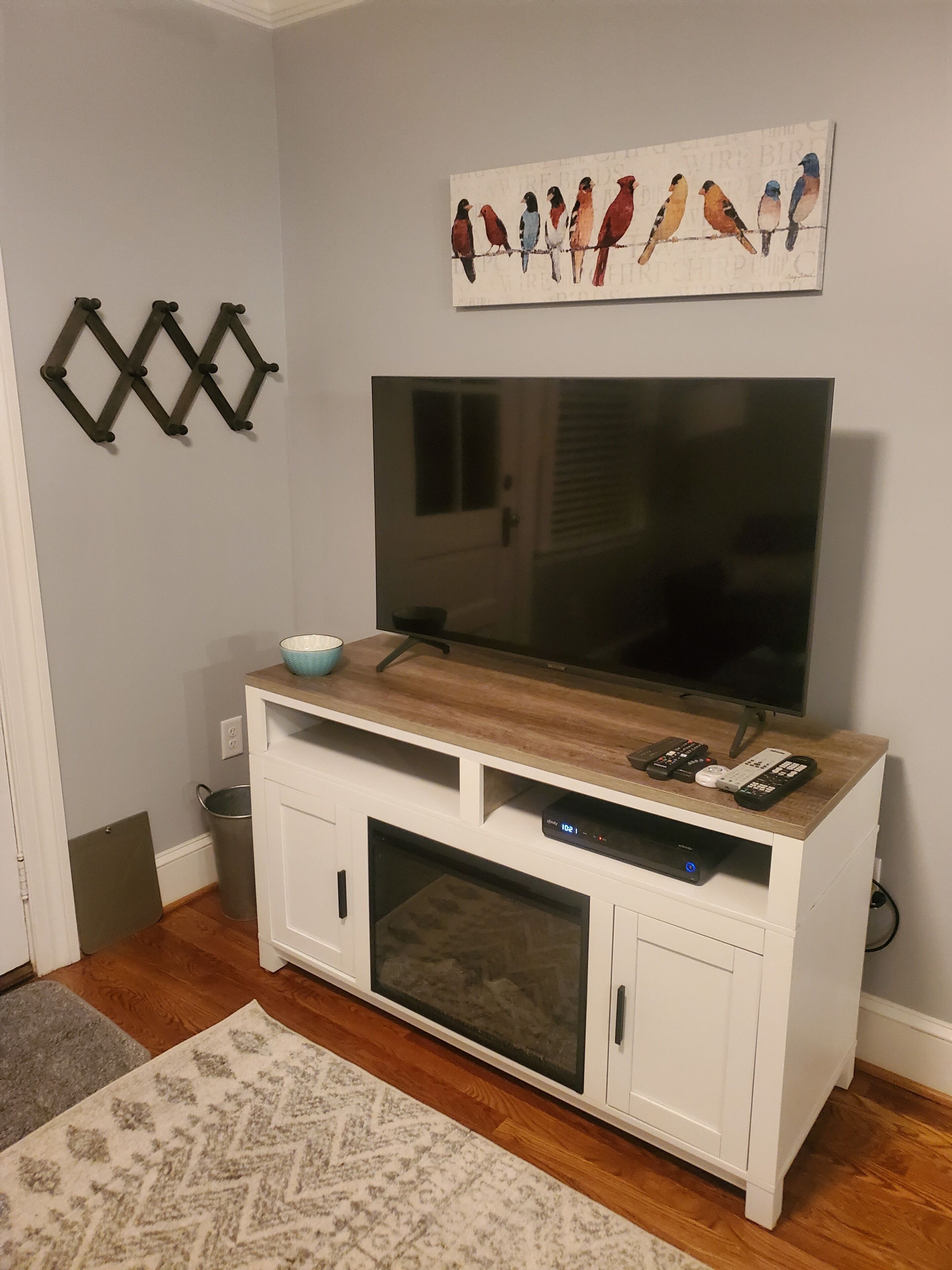 Sala de estar con una televisión de pantalla plana montada en la pared, un mueble de entretenimiento de madera con controles remotos, un tapete estampado y un cuadro de un pájaro colgado en la pared.