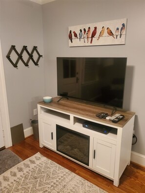 A living room with a flat-screen TV mounted on the wall, a wooden entertainment center with remote controls, a patterned rug, and a wall-mounted bird painting. - Cozy 1-bedroom apartment in quintessential Forest Hill neighborhood (Richmond)