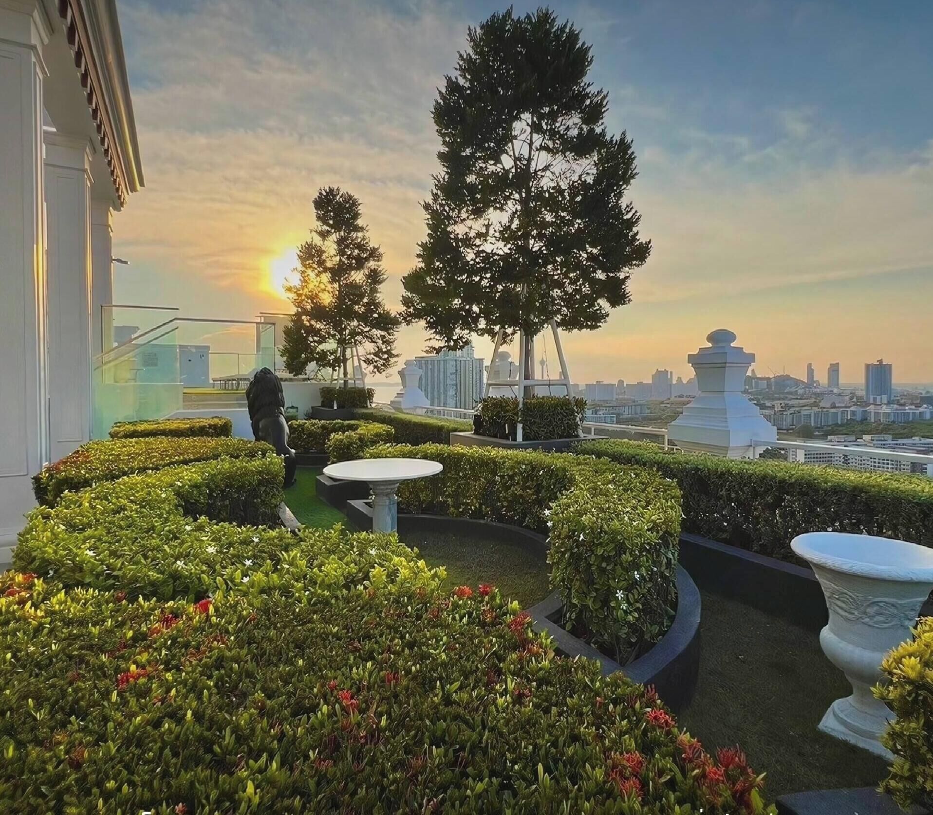 Un jardín en la azotea con setos cuidados, algunos árboles y un paisaje urbano de fondo.