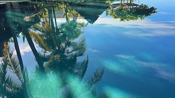 A clear infinity pool with reflections of palm trees and a thatched-roof structure.