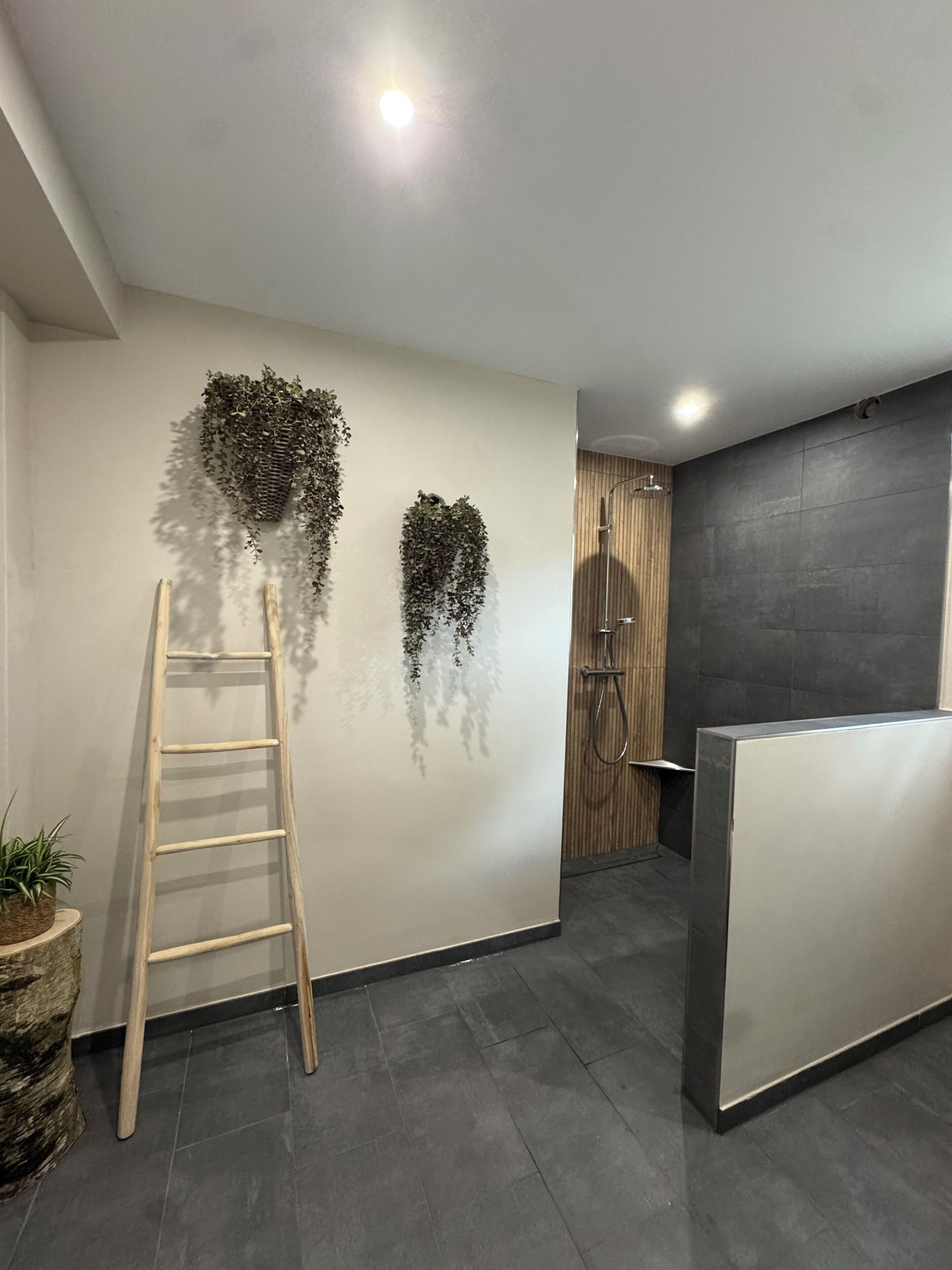 A modern bathroom with a wooden ladder, a shower, and a reception desk.