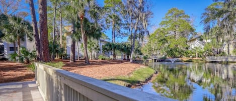 A serene outdoor area with a wooden deck, a pond, and surrounding trees.