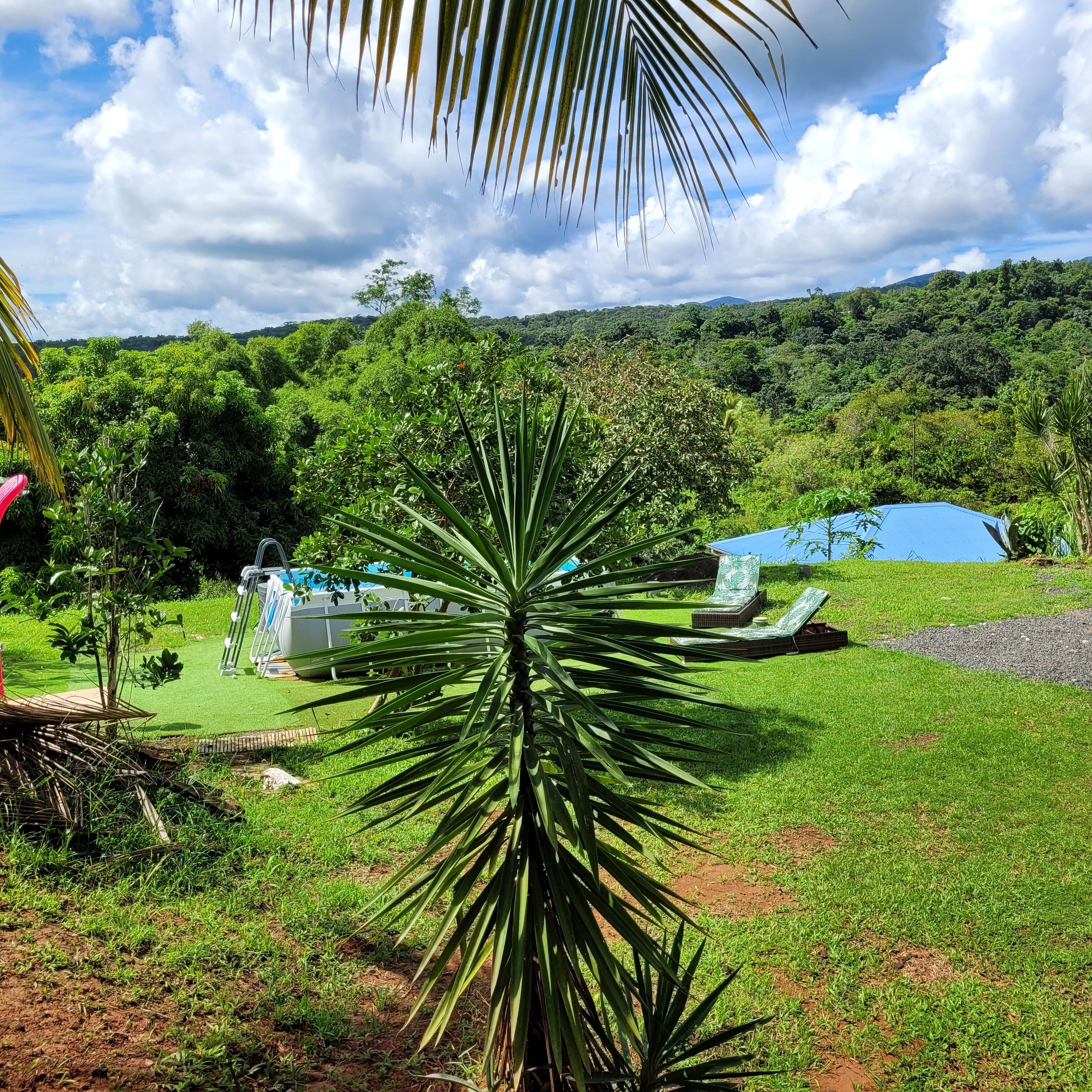 A lush green landscape with a clear sky, a palm tree, and a blue-roofed structure.