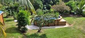 Eine Holzterrasse mit Pool, umgeben von üppiger Vegetation und einem kleinen Baum.