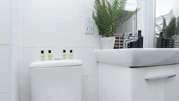 Shower, hair dryer, towels, shampoo