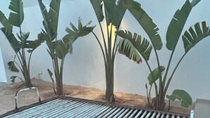 A metal table with a grid pattern, surrounded by large green-leafed plants. - VILLA BLANCA, a vacation villa with a pool and no neighbors in sight. Garage. 4 bedrooms. (Djerba Midun)