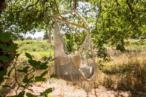 A hammock suspended from a tree branch in a natural setting. - Source Emerald - Au cœur de la nature avec vue lac (Mazamet)