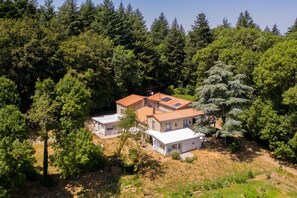 Ein zweistöckiges Haus mit rotem Dach, umgeben von dichtem Wald.