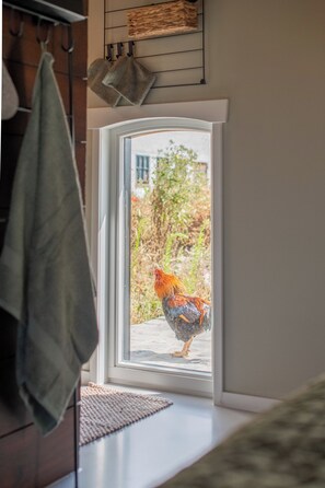 A window with a view of a garden, a towel hanging on a rack, and a woven basket on the wall.