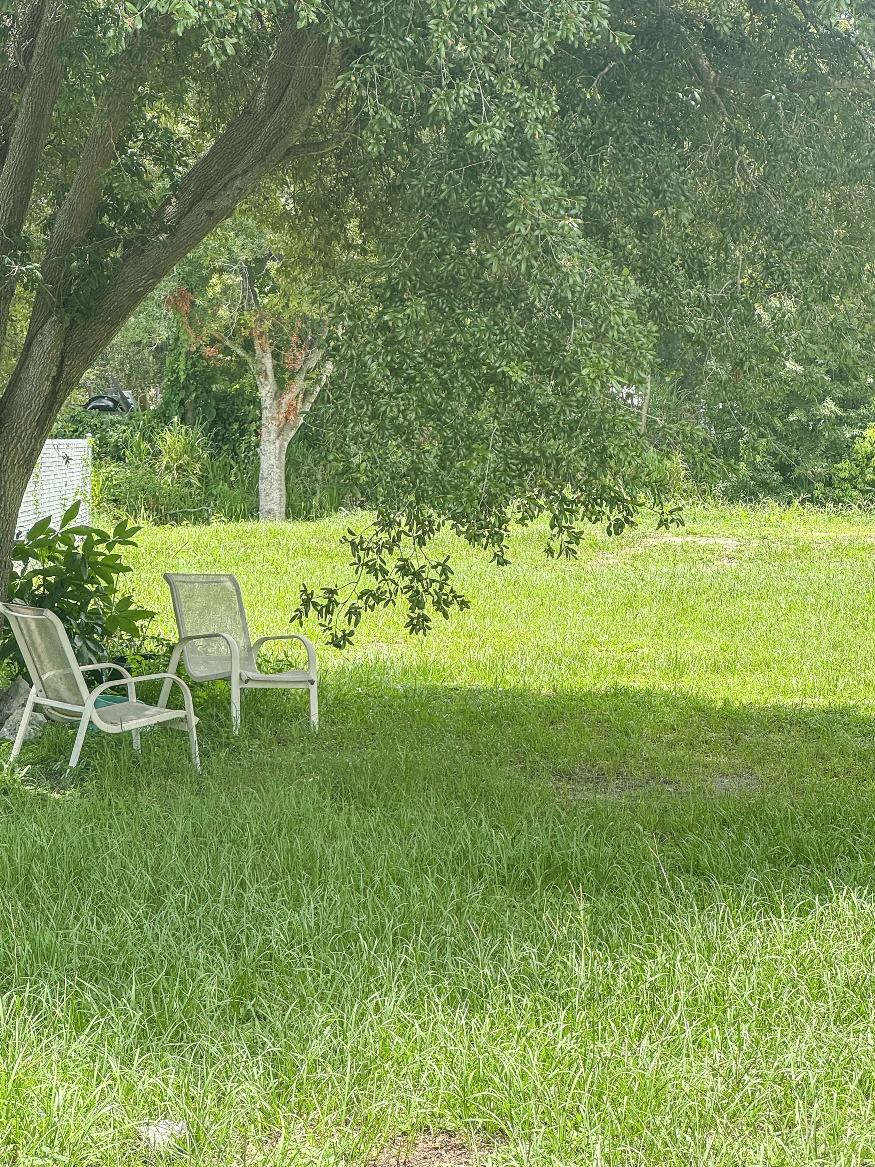 Apartment, Patio | Property grounds