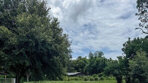 Un camino de concreto que lleva a un área con césped, árboles y un edificio al fondo.