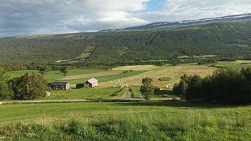 Paisaje rural con un granero, fardos de heno y un camino.
