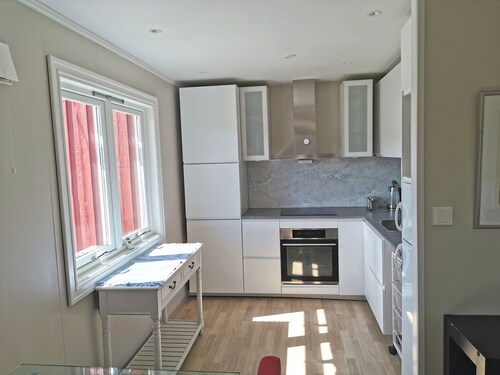 Luxurious  1-bedroom Apartment on a 400 year old historical farm in Lesja