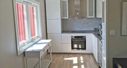 Luxurious 1-bedroom Apartment on a 400 year old historical farm in Lesja