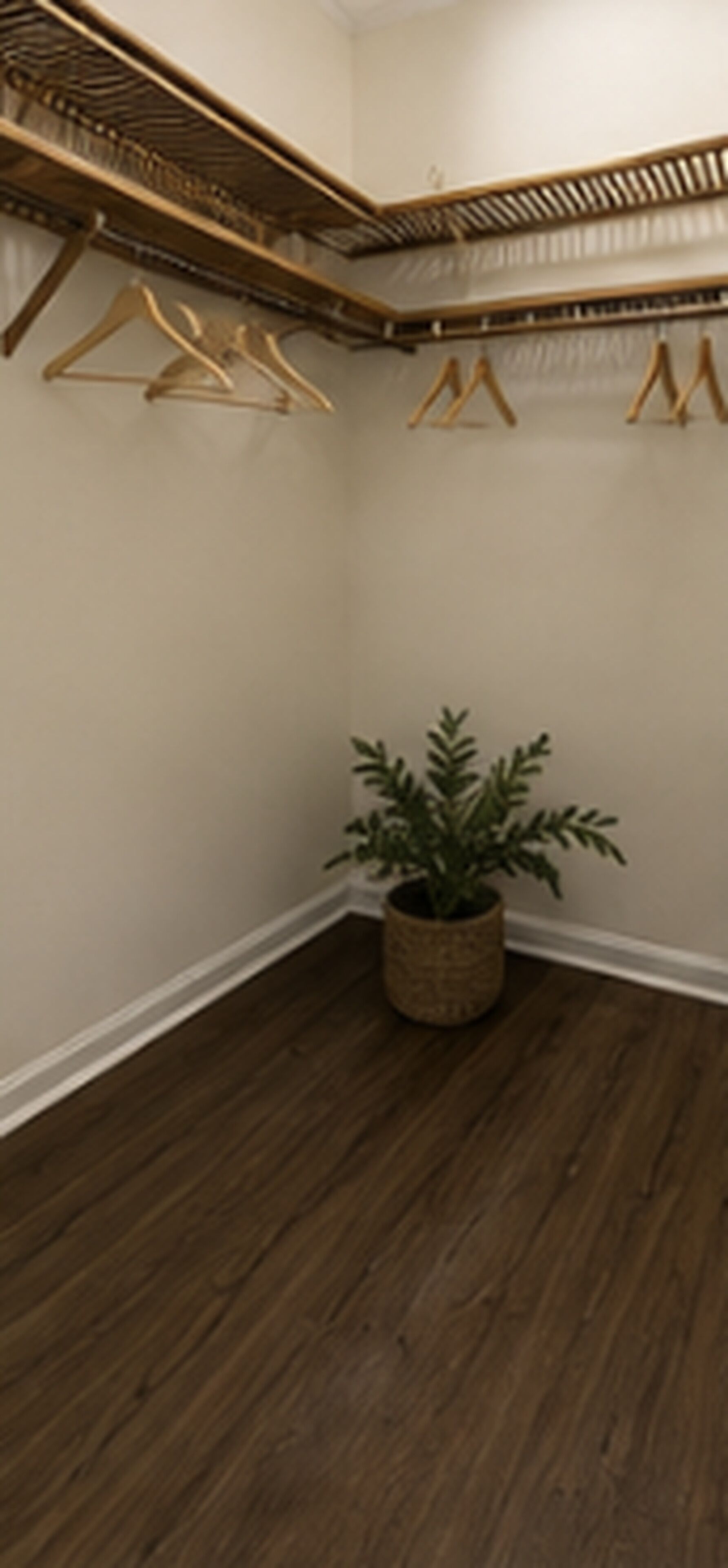 Un coin de pièce avec un plancher en bois, une plante suspendue et un portant à vêtements.
