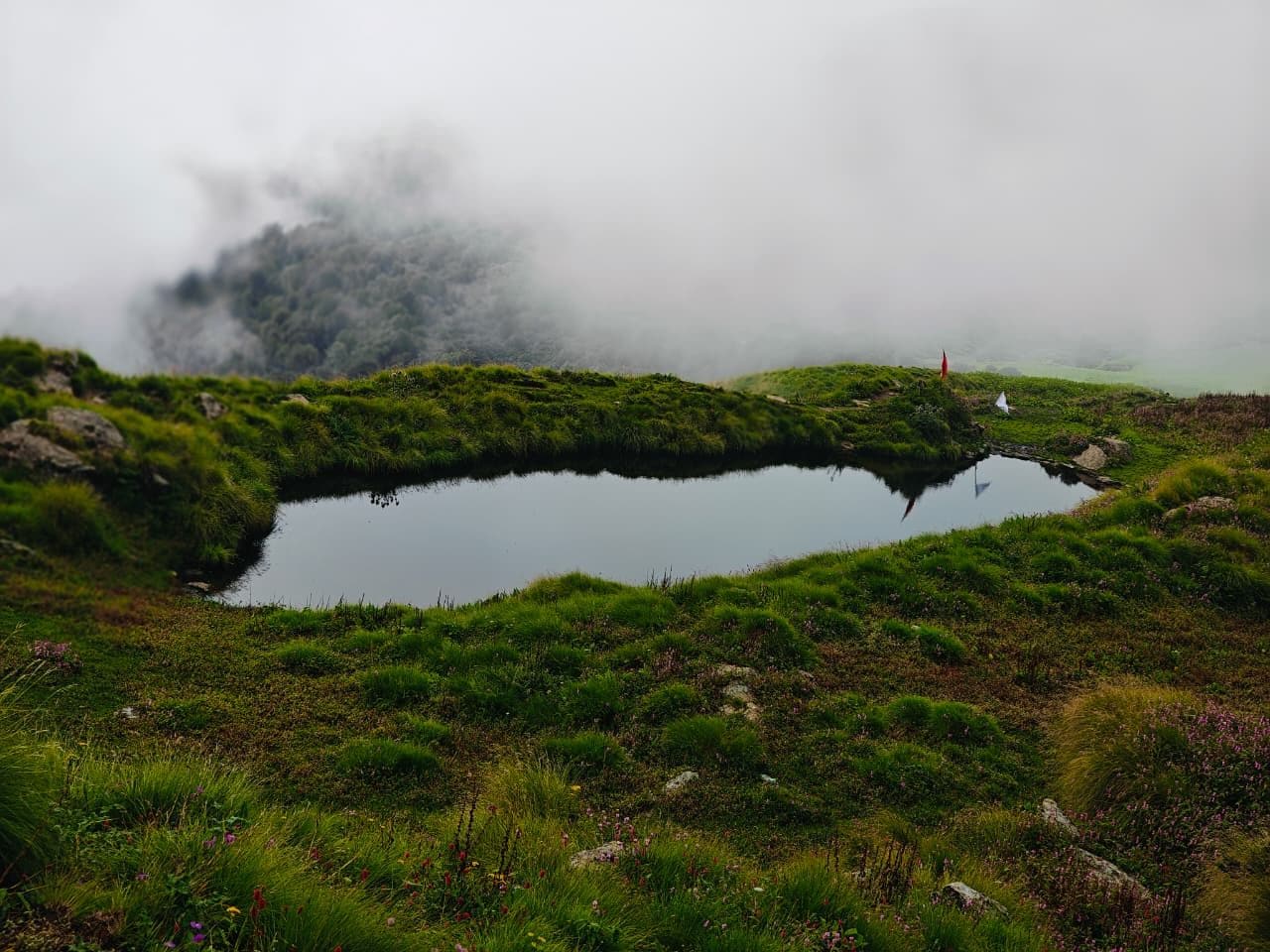 A natural landscape with a small pond surrounded by green vegetation and a misty background.