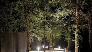 A nighttime pathway flanked by trees and illuminated by ground lights. - Oomi (Barbaste)