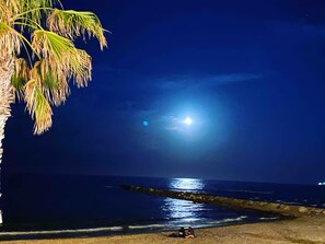 A beach scene with a palm tree, a clear sky, and a bright moon. - Ibizan-Style House in Benicasim · 3 minutes from the beach · Pool and parking (Benicàssim)