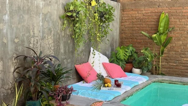 A poolside area with a bed, pillows, and various potted plants. - Casa Botanica (Lo de Marcos)