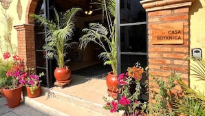 A building entrance with a sign reading 'CASA BOTANICA,' surrounded by potted plants and flowers. - Casa Botanica (Lo de Marcos)