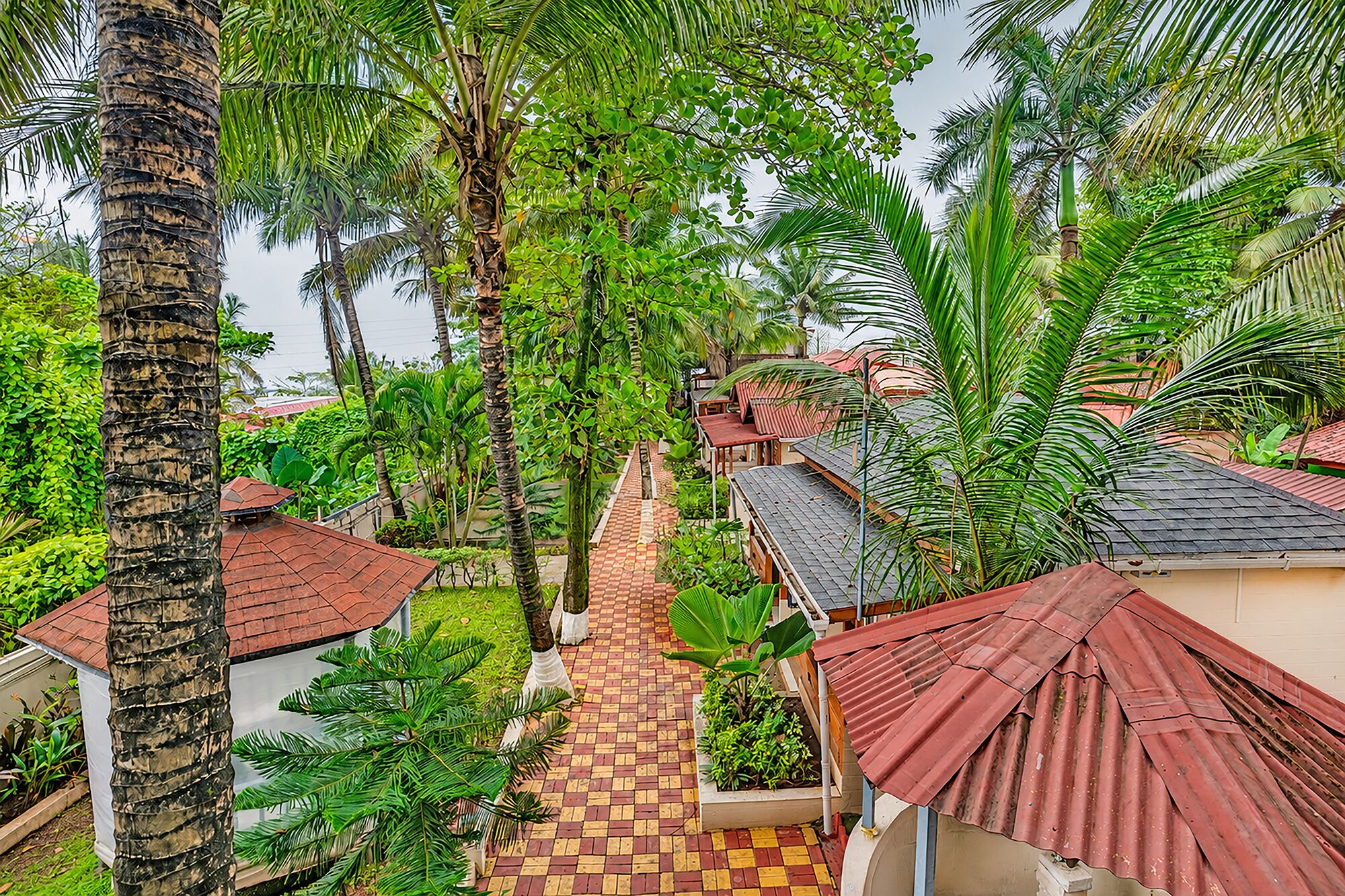 A tropical resort with palm trees, a paved walkway, and red-roofed buildings.