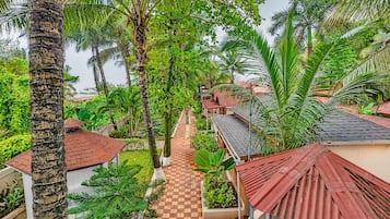 A tropical resort with palm trees, a paved walkway, and red-roofed buildings.