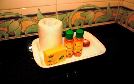 Deluxe Room | Bathroom | Shower, rainfall showerhead, free toiletries, towels